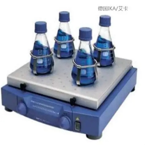 OIP-C.jpg